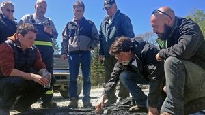 Prokletí ostrova Oak Rodina navždy