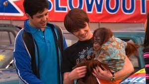 Drake & Josh 9. epizoda