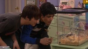 Drake & Josh 13. epizoda