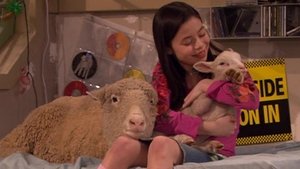 Drake & Josh 11. epizoda
