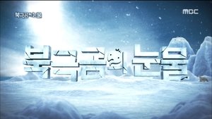 Infinite Challenge 508. epizoda