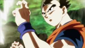 Dragon Ball Super 120. epizoda