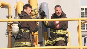 Chicago Fire Zákon džungle