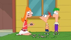 Phineas a Ferb Candy bez spojení