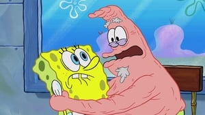 SpongeBob v kalhotách Stařík Patrik