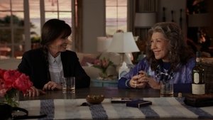 Grace a Frankie Panty