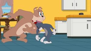 Show Toma a Jerryho Popleta Spike