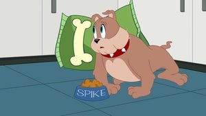 Show Toma a Jerryho Slečna na hlídání