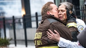 Policie Chicago Profily