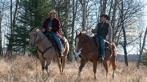 Ranč Heartland 16. epizoda