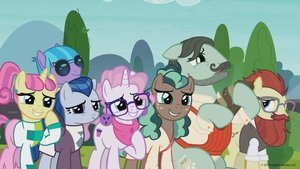 Můj malý Pony: Přátelství je magické 8. epizoda