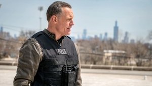 Policie Chicago Návrat domů