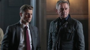 Gotham Země nikoho