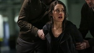 Černá listina Sutton Ross (č. 17)