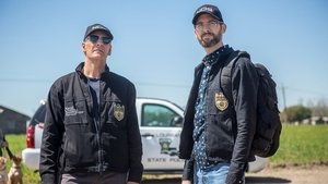 Námořní vyšetřovací služba: New Orleans  Hrátky s myslí