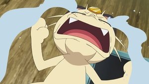 Pokémon Vše v souladu s formou