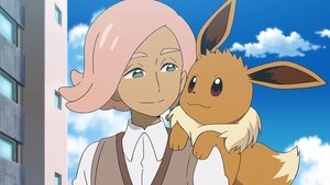 Pokémon Vřelý zájem a tvrdý trénink
