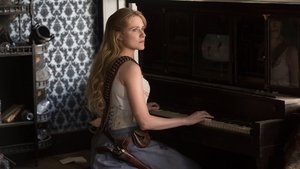 Westworld Fázový prostor
