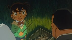 Detektiv Conan 118. epizoda