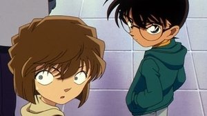Detektiv Conan 311. epizoda