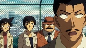 Detektiv Conan 384. epizoda