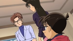 Detektiv Conan 529. epizoda