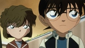 Detektiv Conan 501. epizoda