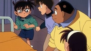 Detektiv Conan 321. epizoda