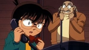 Detektiv Conan 310. epizoda