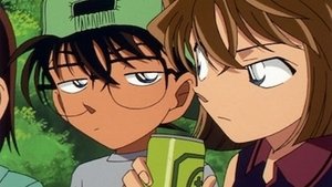 Detektiv Conan 329. epizoda