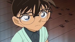 Detektiv Conan 752. epizoda