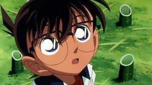 Detektiv Conan 315. epizoda