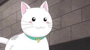 The Disastrous Life of Saiki K. 20. epizoda