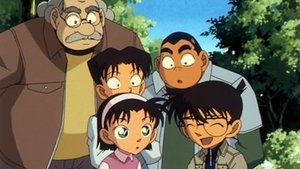Detektiv Conan 378. epizoda