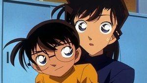 Detektiv Conan 316. epizoda