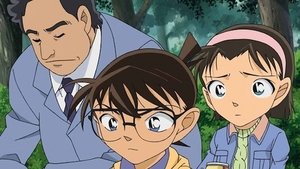 Detektiv Conan 688. epizoda