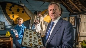 Vraždy v Midsomeru Efekt motýlích křídel