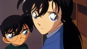 Detektiv Conan 357. epizoda