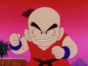 Dragon Ball 96. epizoda