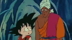 Dragon Ball 29. epizoda