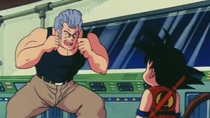 Dragon Ball 41. epizoda