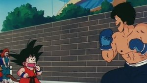 Dragon Ball 43. epizoda