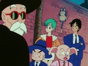 Dragon Ball 84. epizoda