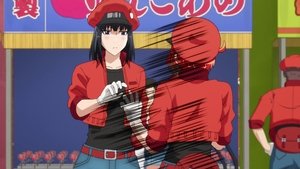 Hataraku saibou 12. epizoda