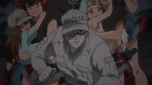 Hataraku saibou 11. epizoda