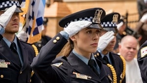 Policie Chicago Nová norma