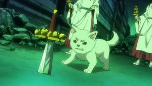 Gintama 5. epizoda