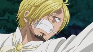 One Piece 848. epizoda