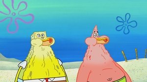 SpongeBob v kalhotách Soutěživá veverka