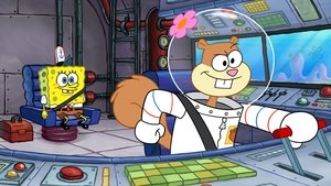 SpongeBob v kalhotách Nákupní seznam